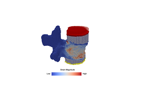 How is finite element estimated strength associated with BMD from clinical CT?